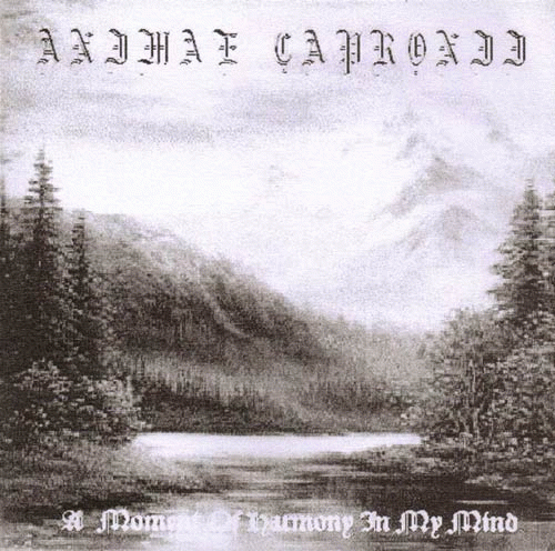 A Moment of Harmony in My Mind